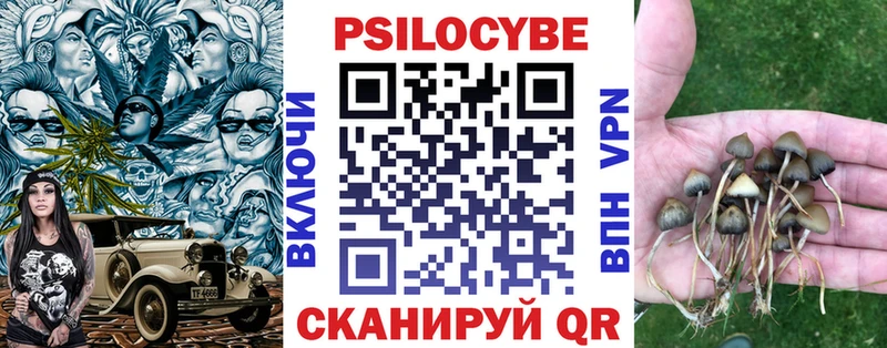 Купить закладки  Сосновый Бор  Псилоцибиновые грибы Psilocybine cubensis 